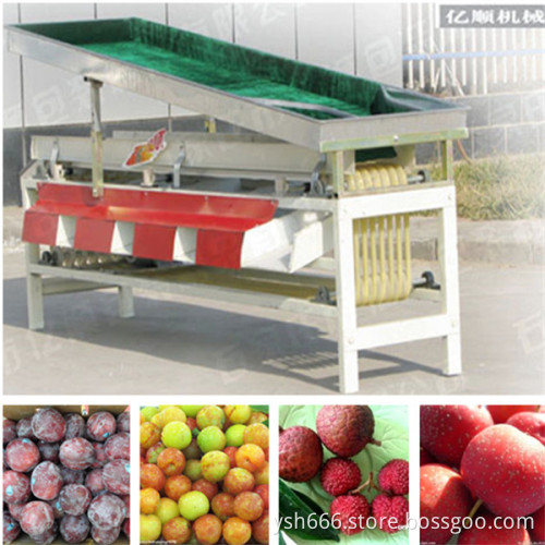 Plum sorting machine factory price YSXT-1C